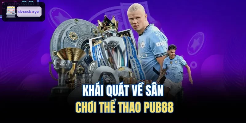 Khái quát về sân chơi thể thao S8